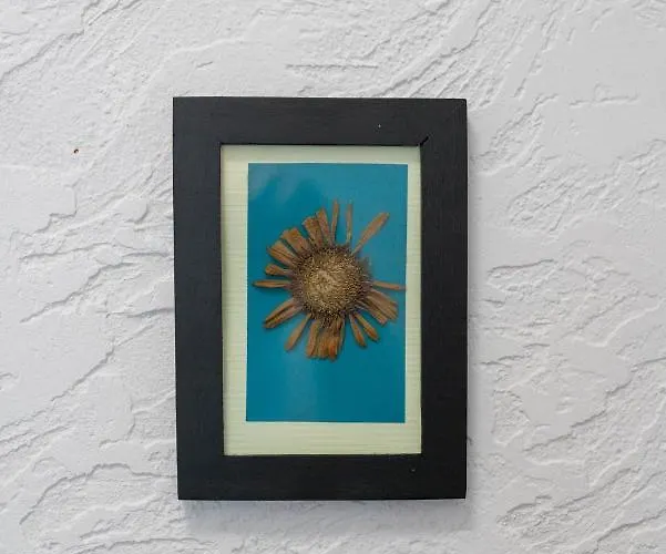 Bright & Comfortable Garbary 35 Old Town By Renters ポズナン